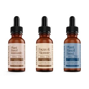 Nootrocan 3000mg 10% Full-Spectrum CBD Nootropic Tincture - 30ml